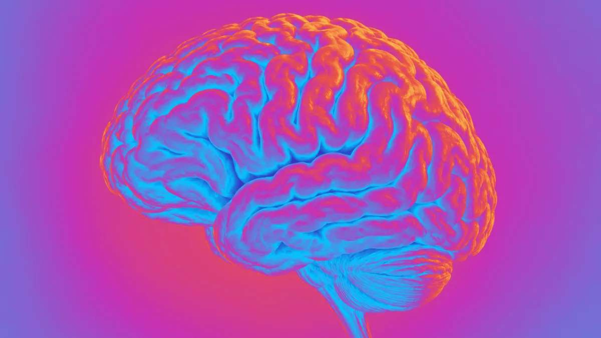 Brain fog, missed diagnoses, and lost careers: The menopause gap Cerebella wants to close