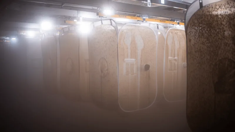 Volare opens €15M 10,000 m² insect protein factory, secures €7.1M to scale across Europe
